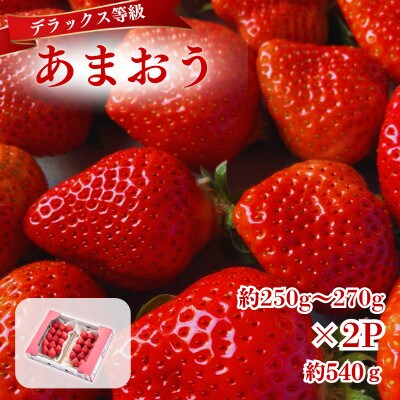 【2026年12月～2月発送】うるう農園のあまおうDX約250～270g×2P(約540g)