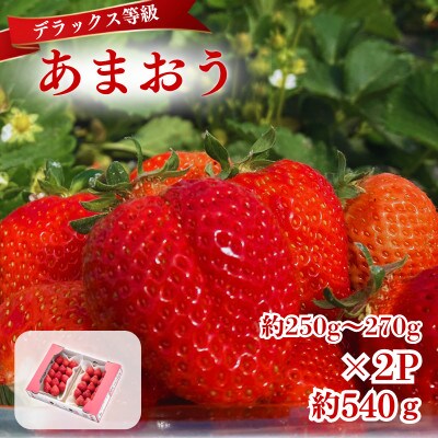 【2027年3月～4月発送】うるう農園のあまおうDX約250～270g×2P(約540g)