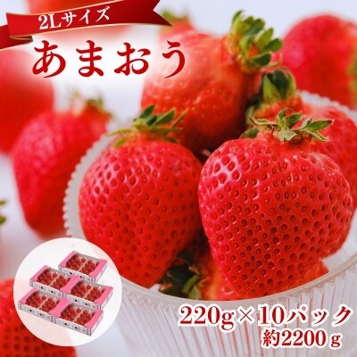 【2027年3月～4月発送】うるう農園のあまおう(2Lサイズ)約220g×10P(約2200g)