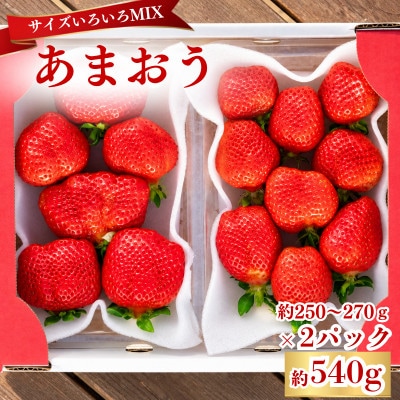 【2026年12月～2月発送】あまおうサイズいろいろMIX約250～270g×2P(約540g)