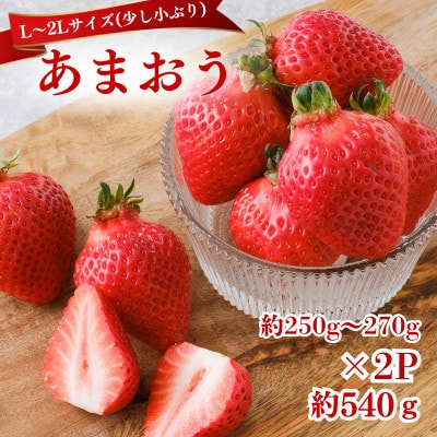 【2027年2月～4月上旬発送】あまおう小ぶりサイズ約250～270g×2P(約540g)
