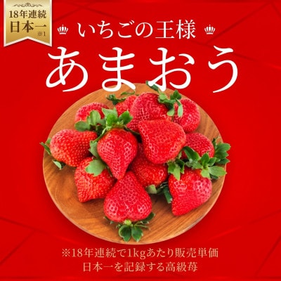 【2027年3月～4月発送】あまおうサイズいろいろMIX約250～270g×2P(約540g)