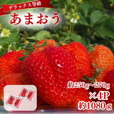 【2027年3月～4月発送】うるう農園のあまおうDX約250～270g×4P(約1080g)