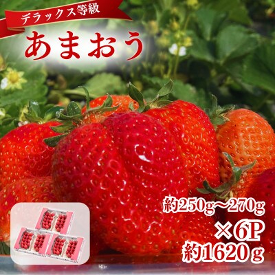 【2027年3月～4月発送】うるう農園のあまおうDX約250～270g×6P(約1620g)