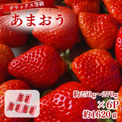 【2026年12月～2月発送】うるう農園のあまおうDX約250～270g×6P(約1620g)