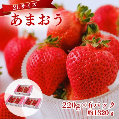 【2027年3月～4月発送】うるう農園のあまおう(2Lサイズ)約220g×6P(約1320g)