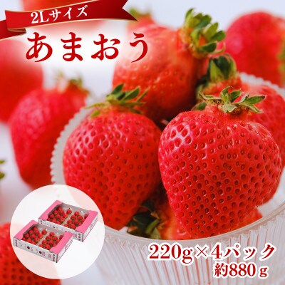 【2027年3月～4月発送】うるう農園のあまおう(2Lサイズ)約220g×4P(約880g)