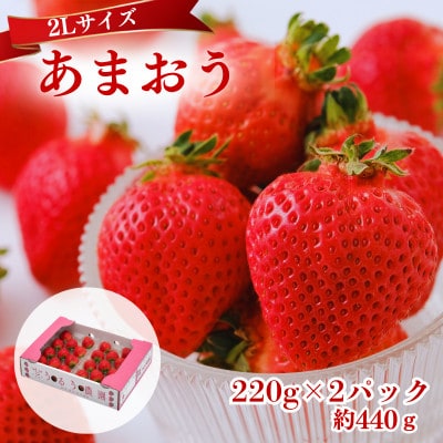 【2027年3月～4月発送】うるう農園のあまおう(2Lサイズ)約220g×2P(約440g)