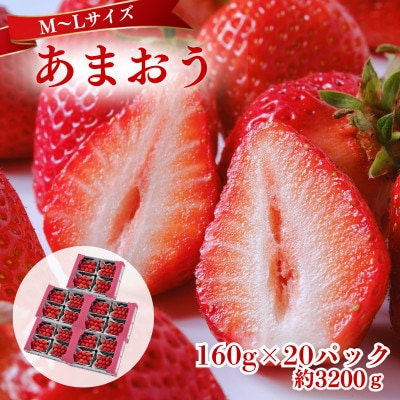 【2027年3月～4月発送】うるう農園のあまおう(MLサイズ)約160g×20P(約3200g)