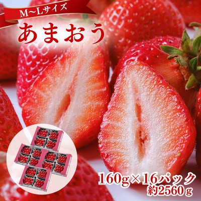 【2027年3月～4月発送】うるう農園のあまおう(MLサイズ)約160g×16P(約2560g)