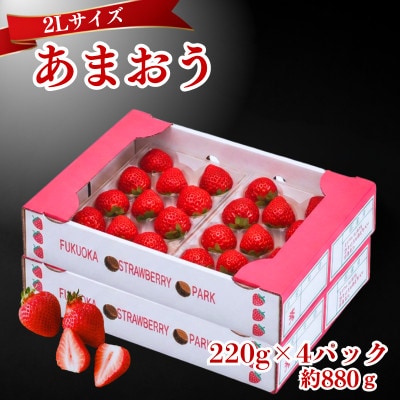 【2026年12月～2月発送】うるう農園のあまおう(2Lサイズ)約220g×4P(約880g)