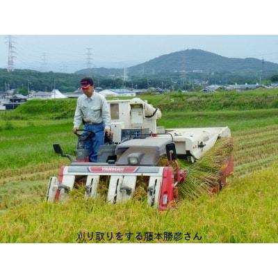 藤本勝彦さんのミルキークイーン白米4.5kg日本一おいしい米コンテスト金賞3回受賞農家