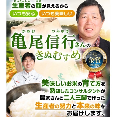 亀尾信行さんのきぬむすめ白米4.5kg 第11回日本一おいしい米コンテスト優良金賞受賞農家