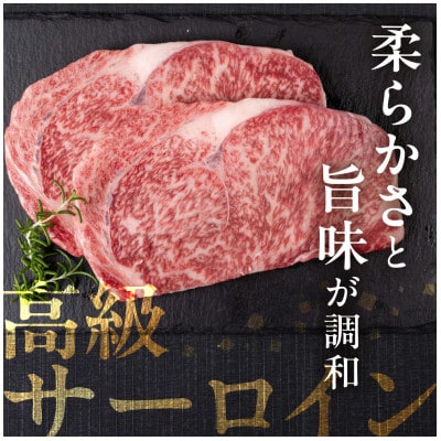 黒毛和牛 飛騨牛サーロインステーキ 250g×2