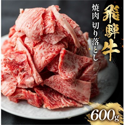 飛騨牛 焼肉切り落とし 600g [S767]
