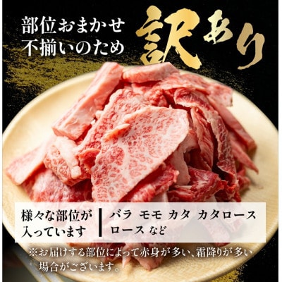 飛騨牛 焼肉切り落とし 600g [S767]