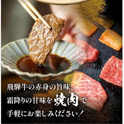 飛騨牛 焼肉切り落とし 600g [S767]
