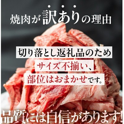 飛騨牛 焼肉切り落とし 600g [S767]