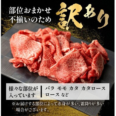 飛騨牛 切り落とし肉 500g [S768]