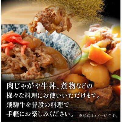 飛騨牛 切り落とし肉 500g [S768]