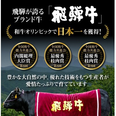 飛騨牛 切り落とし肉 500g [S768]