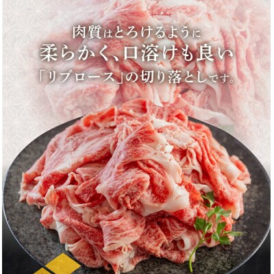 飛騨牛 リブロース 切り落とし 800g [S769]