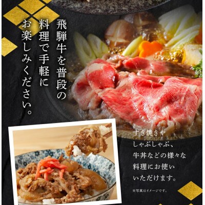 飛騨牛 リブロース 切り落とし 800g [S769]