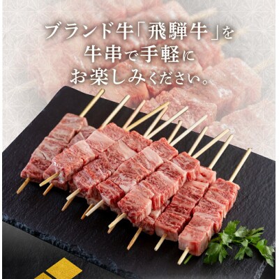 飛騨牛 牛串 10本 [S770]