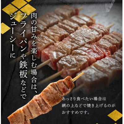 飛騨牛 牛串 10本 [S770]