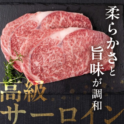 飛騨牛サーロインステーキ 200g×2 [S973]