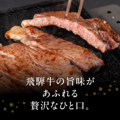 飛騨牛サーロインステーキ 200g×2 [S973]