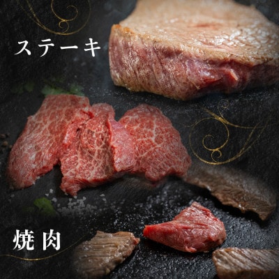飛騨牛ブロック肉 500g[S976]
