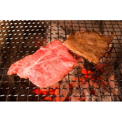 岐阜県産　飛騨牛　ロース焼肉用　800g