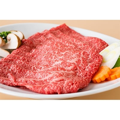 岐阜県産　飛騨牛　ももすき焼用　500g