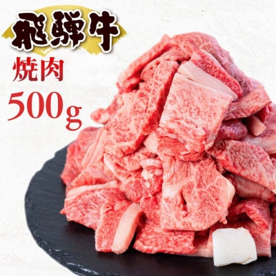 飛騨牛 焼肉用 切り落とし肉 500g [S811]
