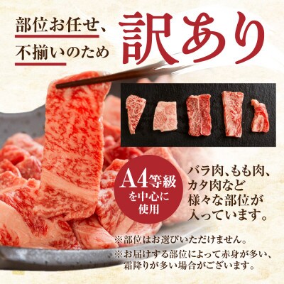 飛騨牛 焼肉用 切り落とし肉 500g [S811]