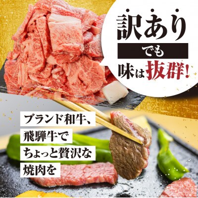 飛騨牛 焼肉用 切り落とし肉 500g [S811]