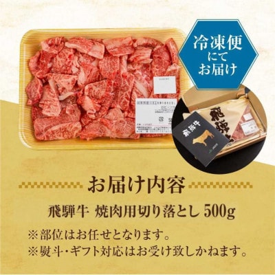 飛騨牛 焼肉用 切り落とし肉 500g [S811]