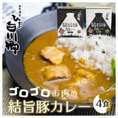 白川郷 結旨豚カレー 4食セット 中辛 レトルト カレー 豚肉 食べ比べ 白川村 [S216]