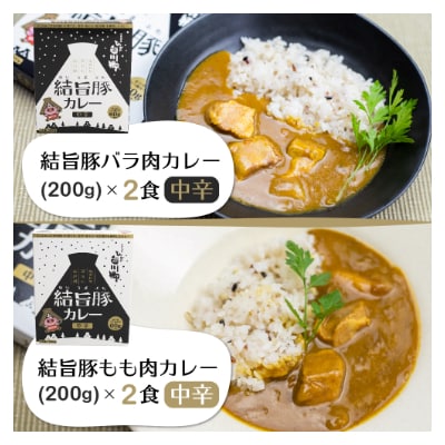 白川郷 結旨豚カレー 4食セット 中辛 レトルト カレー 豚肉 食べ比べ 白川村 [S216]