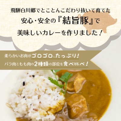 白川郷 結旨豚カレー 4食セット 中辛 レトルト カレー 豚肉 食べ比べ 白川村 [S216]