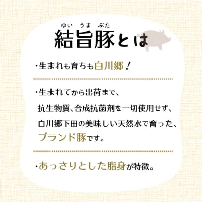 白川郷 結旨豚カレー 4食セット 中辛 レトルト カレー 豚肉 食べ比べ 白川村 [S216]