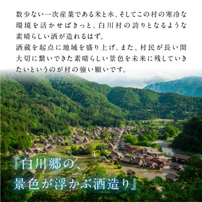 人気お試しセット 720ml 3本【S873】