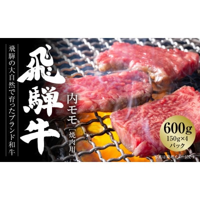 飛騨牛　赤身焼肉　600g(150g×4パック)使い勝手の良い 小分け 冷凍真空パック MZ006