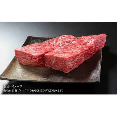 飛騨牛 赤身 (モモ又はウデ)ブロック[塊]300g×2本 真空パック 飛騨高山ミート MZ021