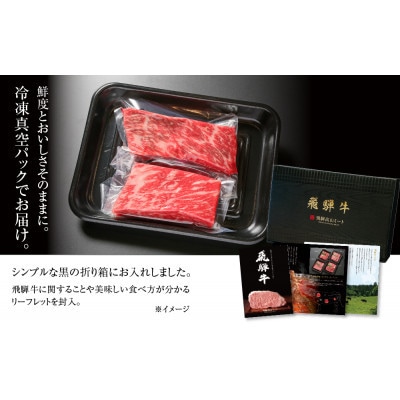 飛騨牛 赤身 (モモ又はウデ)ブロック[塊]300g×2本 真空パック 飛騨高山ミート MZ021
