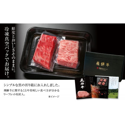 飛騨牛 ブロック肉2種(霜降り/赤身) 各300g飛騨高山ミート MZ023