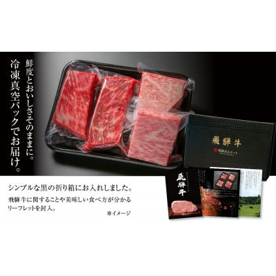 飛騨牛 ブロック肉 [塊] 1.2kg(霜降り600g/赤身600g)飛騨高山ミート MZ024
