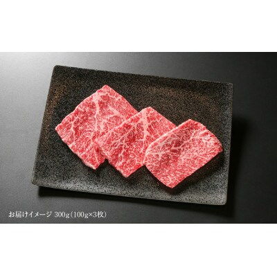 飛騨牛 赤身(モモ)ステーキ 100g×3枚 真空パック 飛騨高山ミート MZ025