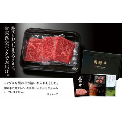 飛騨牛 赤身(モモ)ステーキ 100g×3枚 真空パック 飛騨高山ミート MZ025